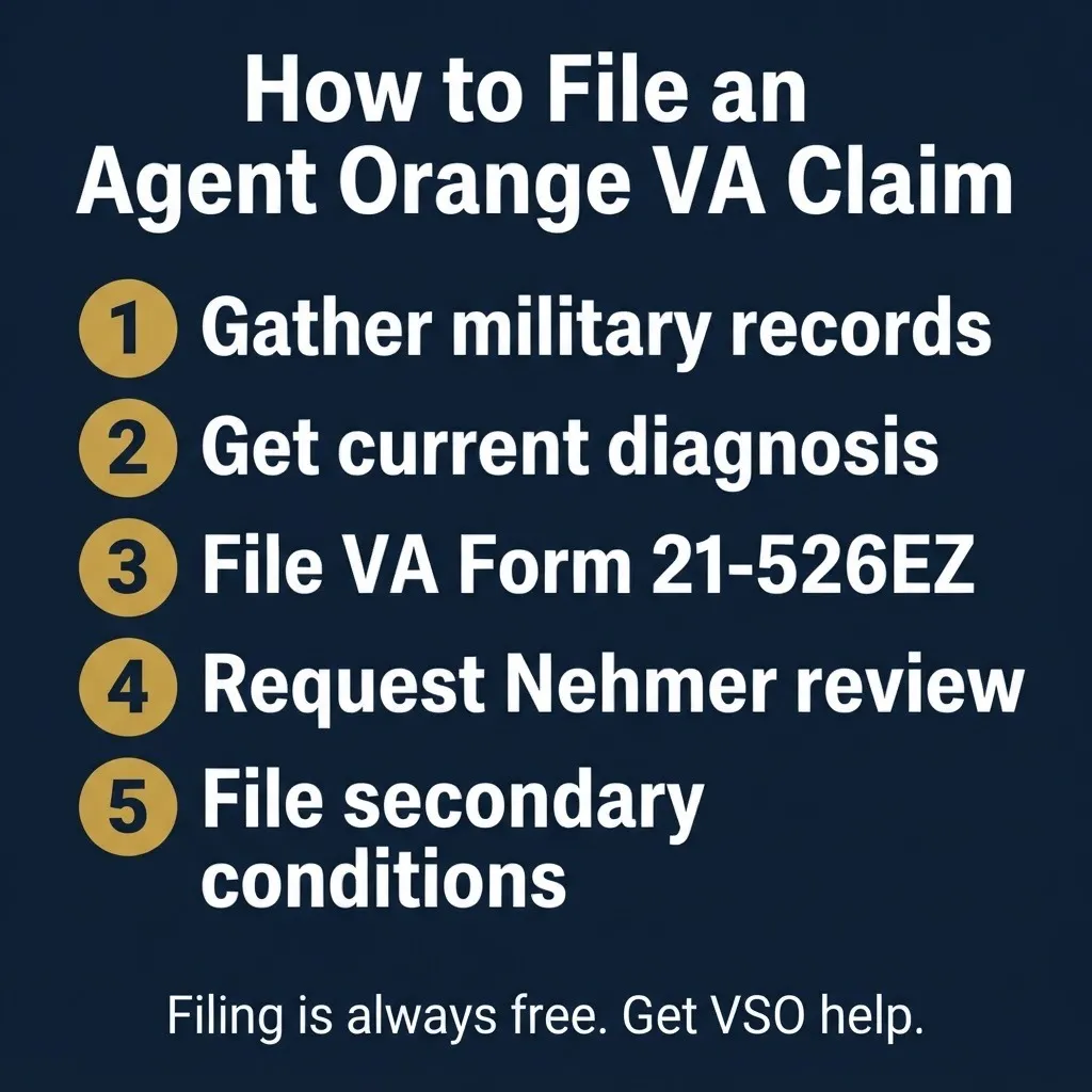 How to file an Agent Orange VA disability claim steps for 2026 with five numbered actions.
