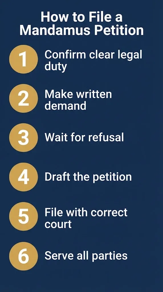 Six-step graphic showing how to file a mandamus petition in court.