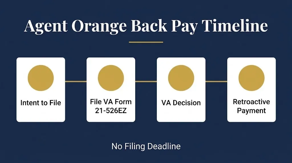 Agent Orange back pay claim timeline infographic with four VA filing stages and no deadline note